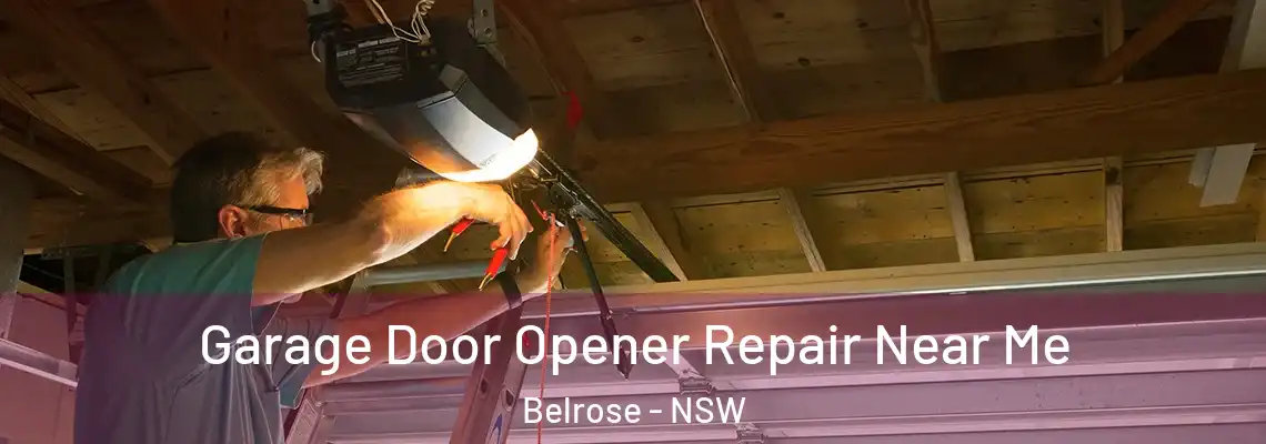  Garage Door Opener Repair Near Me Belrose - NSW