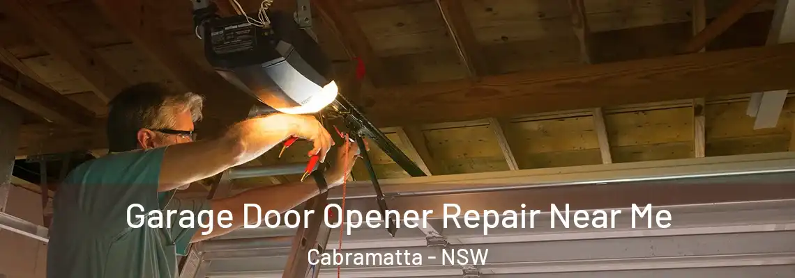  Garage Door Opener Repair Near Me Cabramatta - NSW