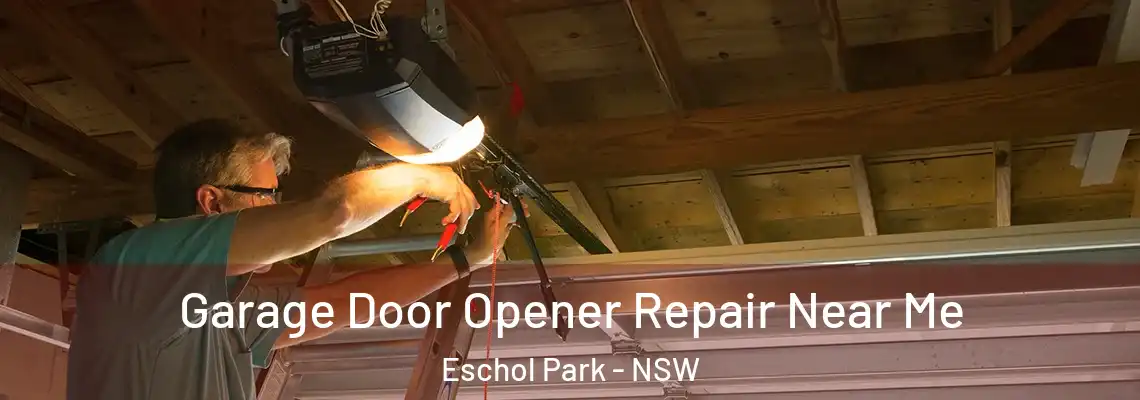  Garage Door Opener Repair Near Me Eschol Park - NSW