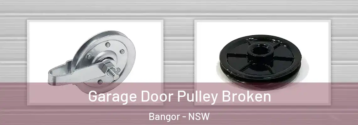  Garage Door Pulley Broken Bangor - NSW