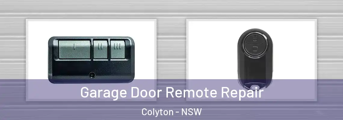  Garage Door Remote Repair Colyton - NSW