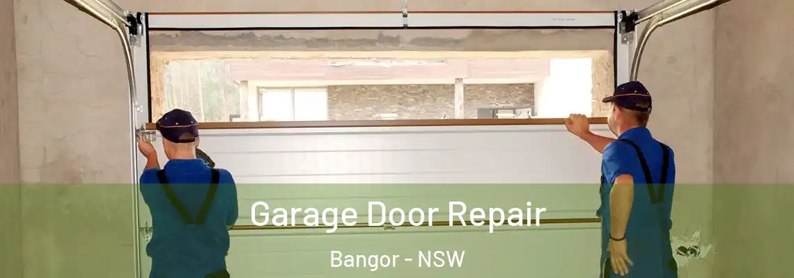  Garage Door Repair Bangor - NSW