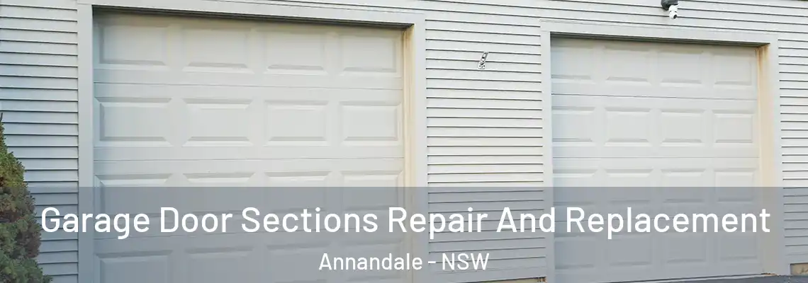  Garage Door Sections Repair And Replacement Annandale - NSW