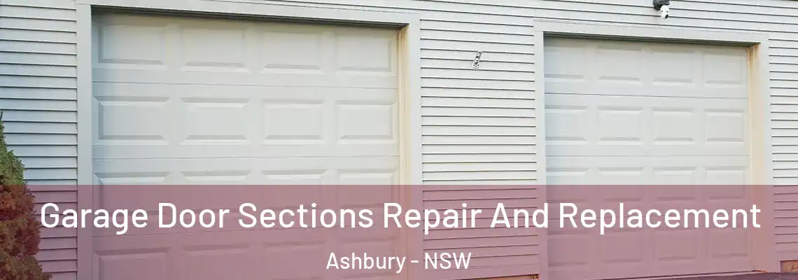  Garage Door Sections Repair And Replacement Ashbury - NSW