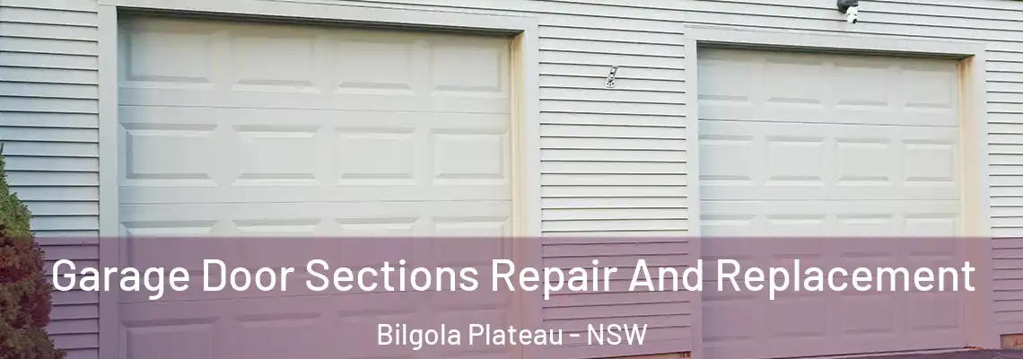  Garage Door Sections Repair And Replacement Bilgola Plateau - NSW