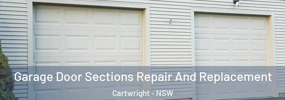  Garage Door Sections Repair And Replacement Cartwright - NSW