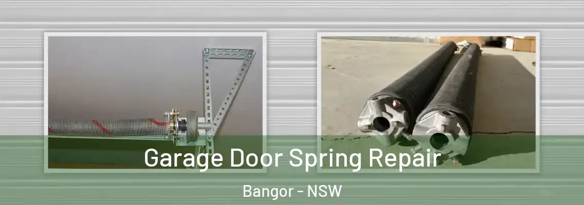  Garage Door Spring Repair Bangor - NSW
