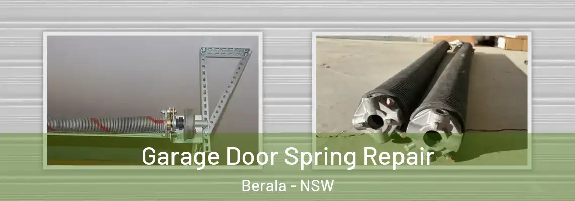  Garage Door Spring Repair Berala - NSW