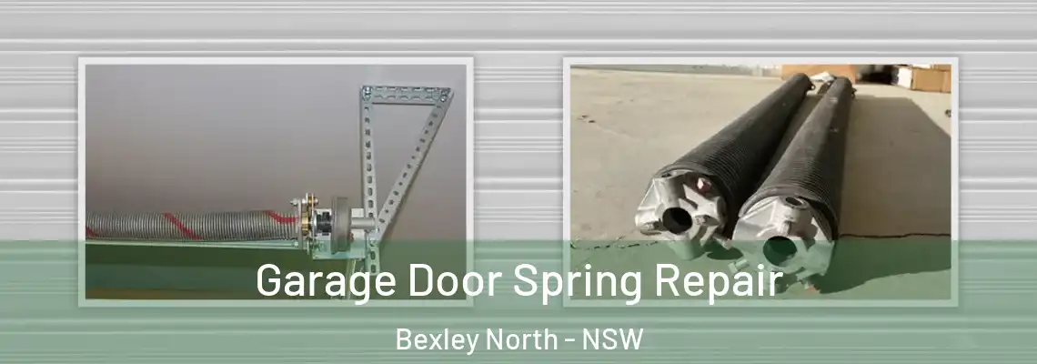  Garage Door Spring Repair Bexley North - NSW