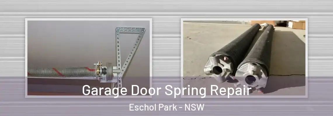  Garage Door Spring Repair Eschol Park - NSW