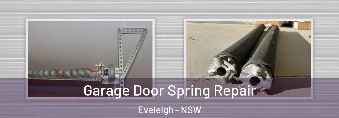  Garage Door Spring Repair Eveleigh - NSW