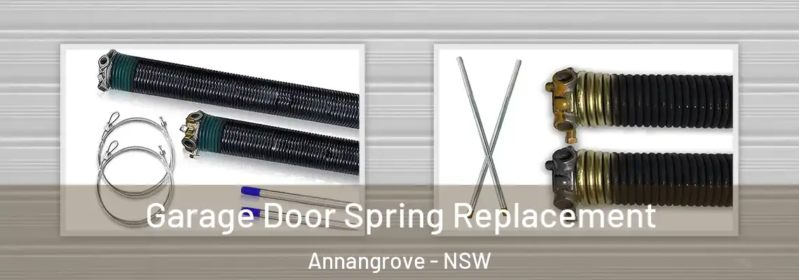  Garage Door Spring Replacement Annangrove - NSW