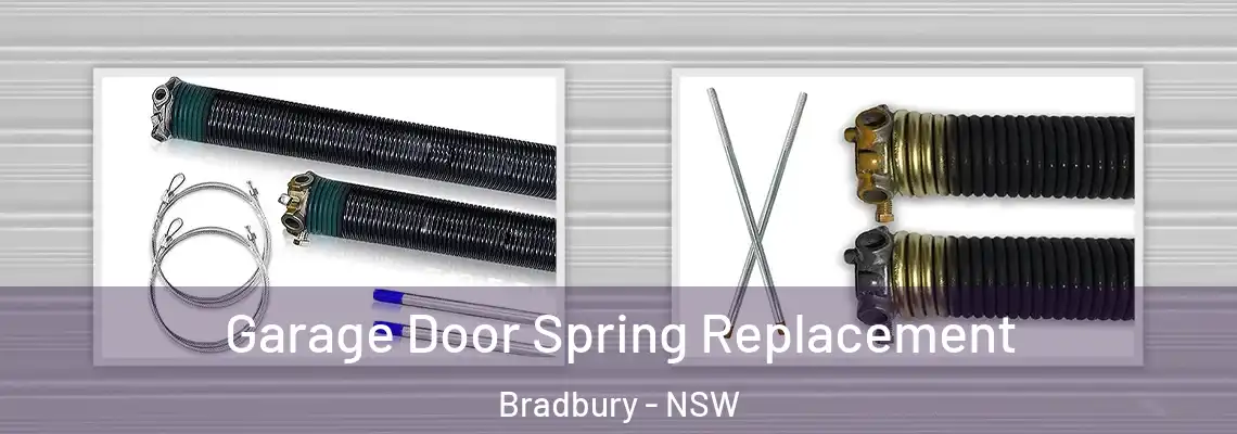  Garage Door Spring Replacement Bradbury - NSW