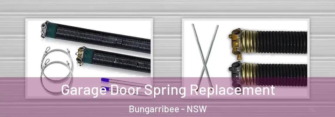  Garage Door Spring Replacement Bungarribee - NSW