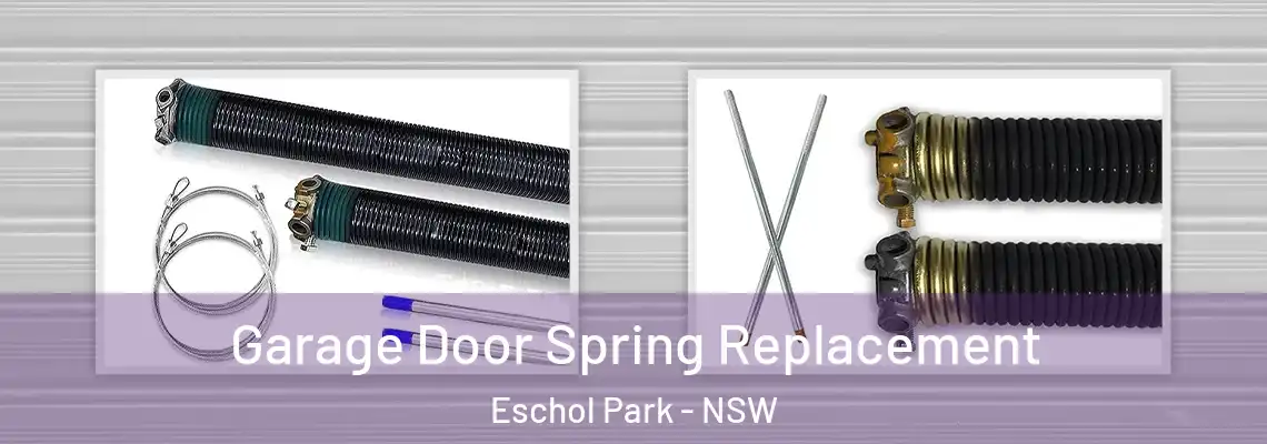  Garage Door Spring Replacement Eschol Park - NSW