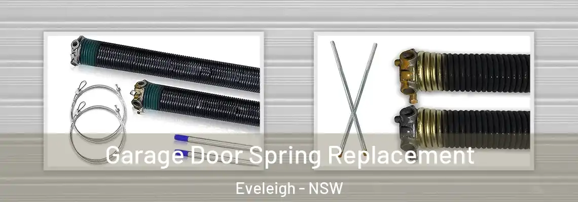  Garage Door Spring Replacement Eveleigh - NSW