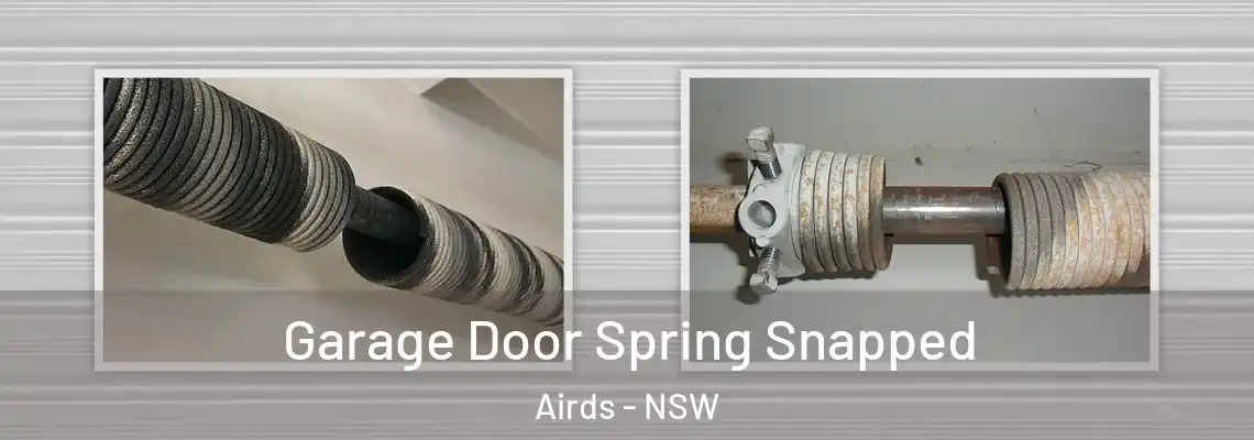  Garage Door Spring Snapped Airds - NSW