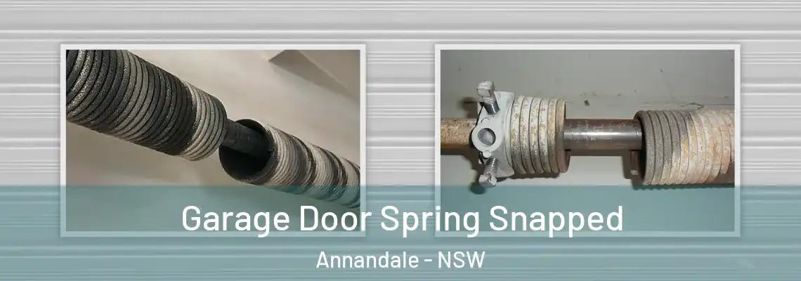  Garage Door Spring Snapped Annandale - NSW