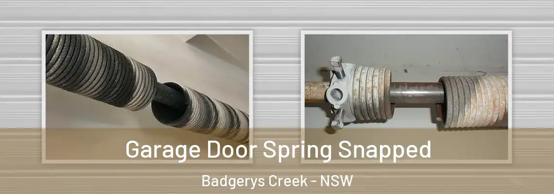  Garage Door Spring Snapped Badgerys Creek - NSW