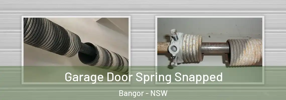  Garage Door Spring Snapped Bangor - NSW