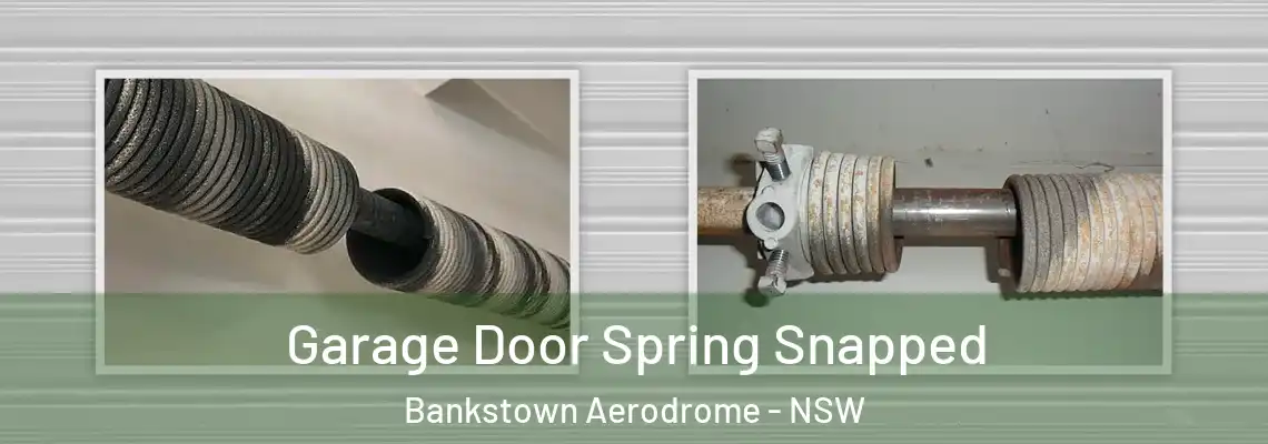  Garage Door Spring Snapped Bankstown Aerodrome - NSW