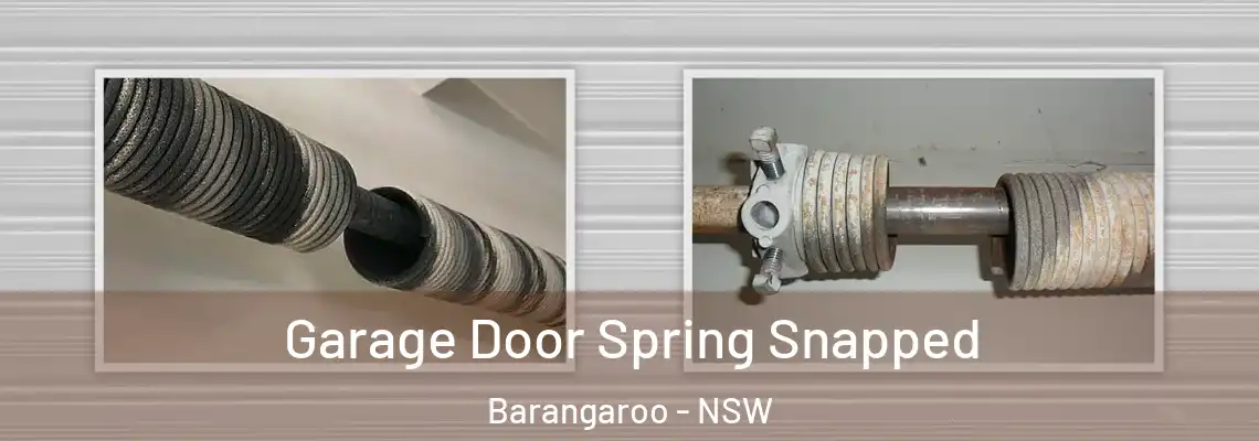  Garage Door Spring Snapped Barangaroo - NSW