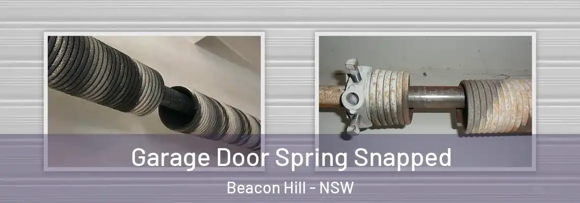  Garage Door Spring Snapped Beacon Hill - NSW