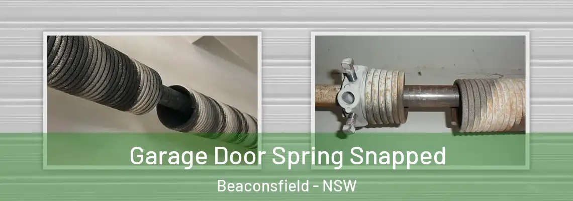  Garage Door Spring Snapped Beaconsfield - NSW