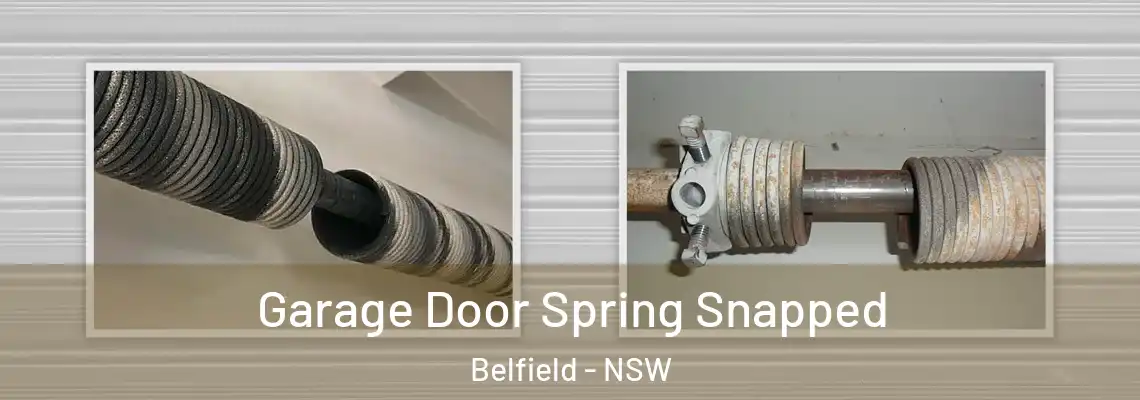  Garage Door Spring Snapped Belfield - NSW