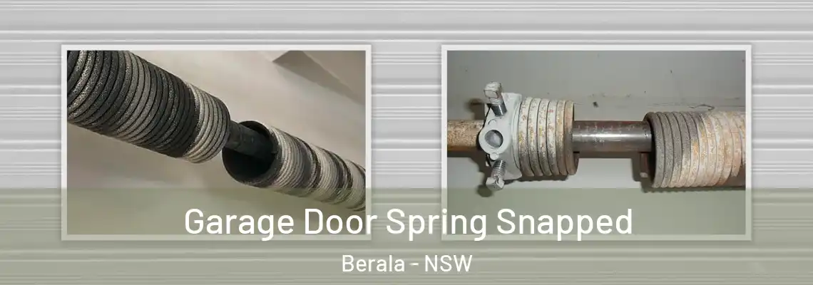  Garage Door Spring Snapped Berala - NSW