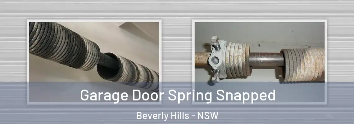  Garage Door Spring Snapped Beverly Hills - NSW