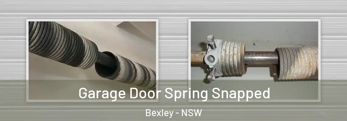  Garage Door Spring Snapped Bexley - NSW
