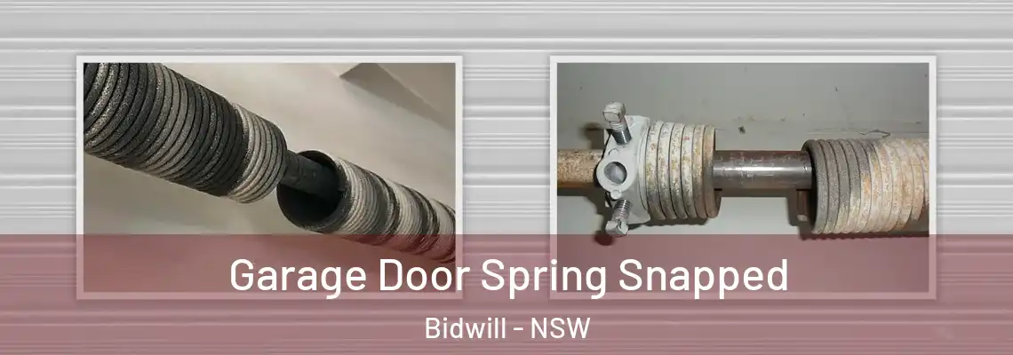  Garage Door Spring Snapped Bidwill - NSW