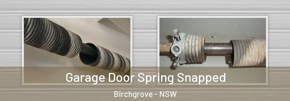  Garage Door Spring Snapped Birchgrove - NSW