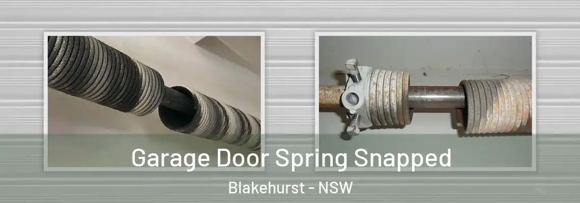  Garage Door Spring Snapped Blakehurst - NSW