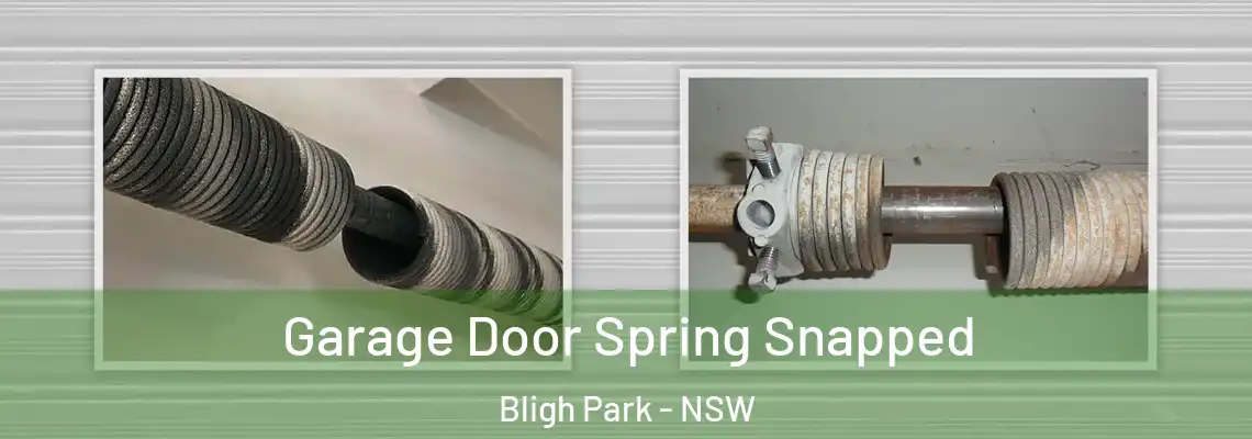 Garage Door Spring Snapped Bligh Park - NSW