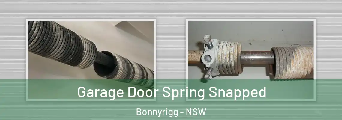  Garage Door Spring Snapped Bonnyrigg - NSW