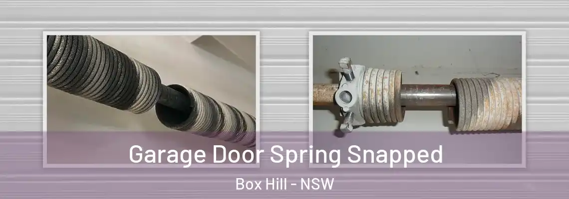  Garage Door Spring Snapped Box Hill - NSW