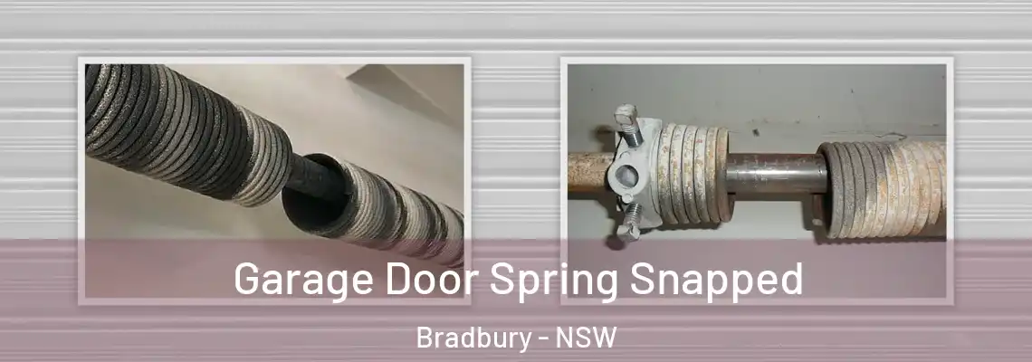  Garage Door Spring Snapped Bradbury - NSW