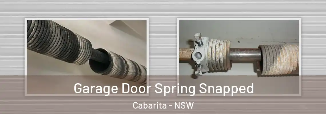  Garage Door Spring Snapped Cabarita - NSW