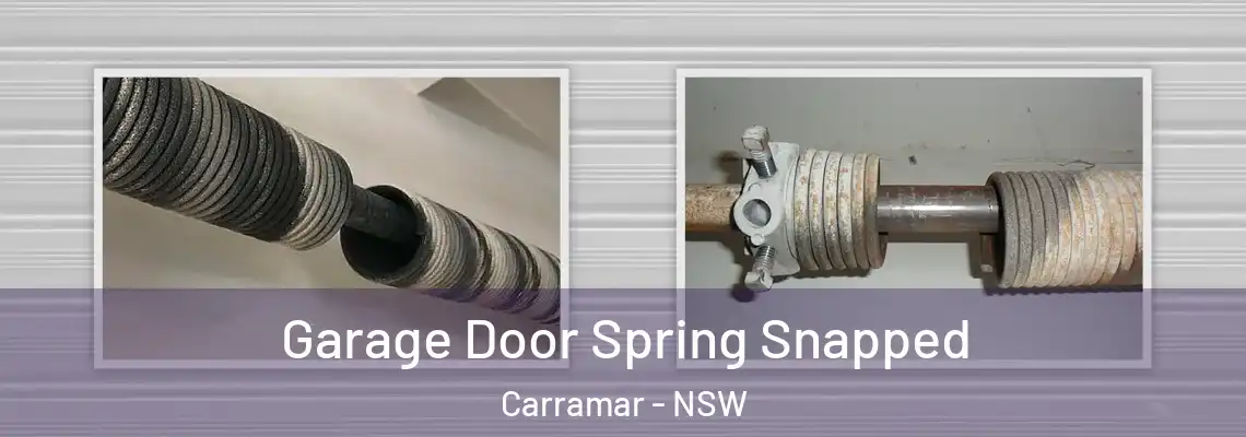  Garage Door Spring Snapped Carramar - NSW