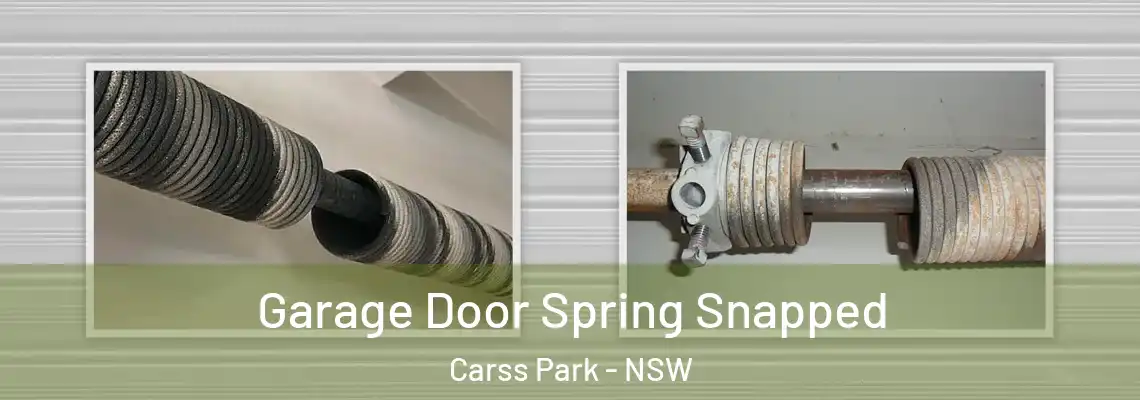  Garage Door Spring Snapped Carss Park - NSW