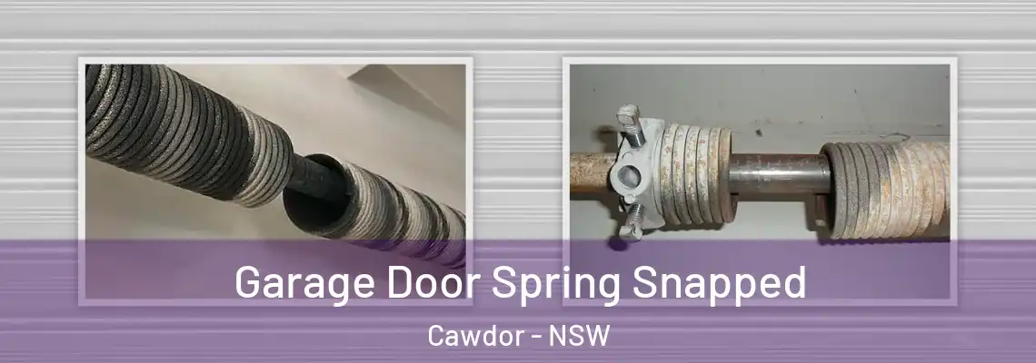  Garage Door Spring Snapped Cawdor - NSW