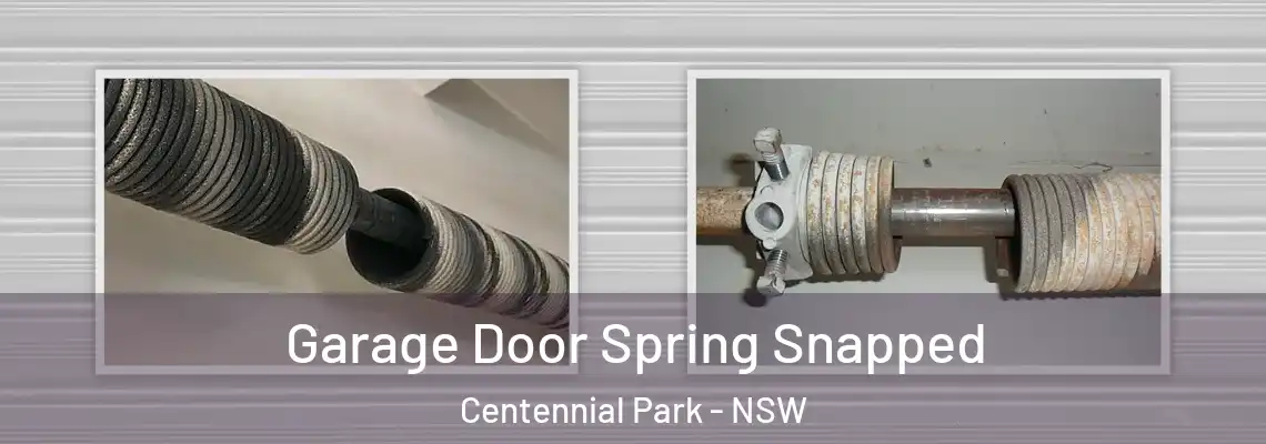  Garage Door Spring Snapped Centennial Park - NSW