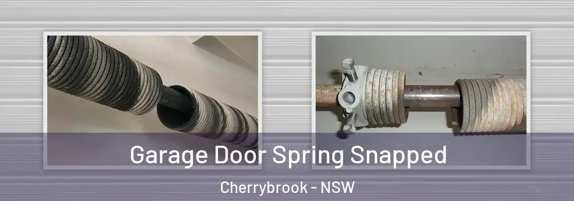  Garage Door Spring Snapped Cherrybrook - NSW