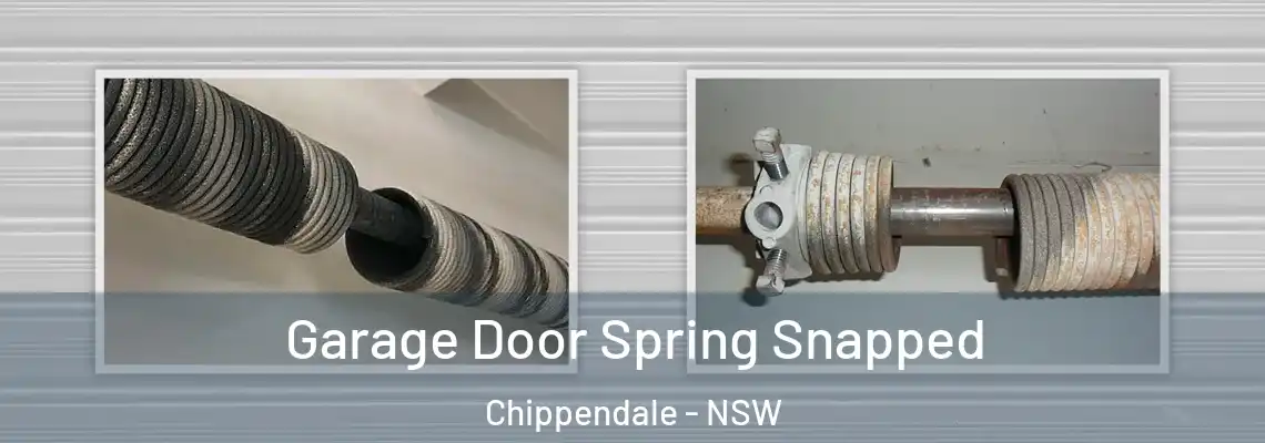  Garage Door Spring Snapped Chippendale - NSW
