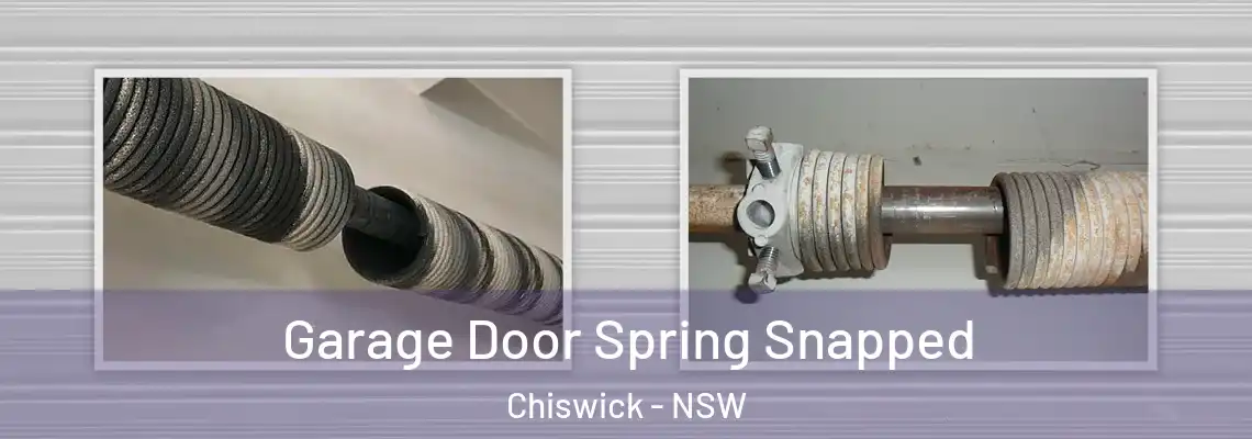 Garage Door Spring Snapped Chiswick - NSW