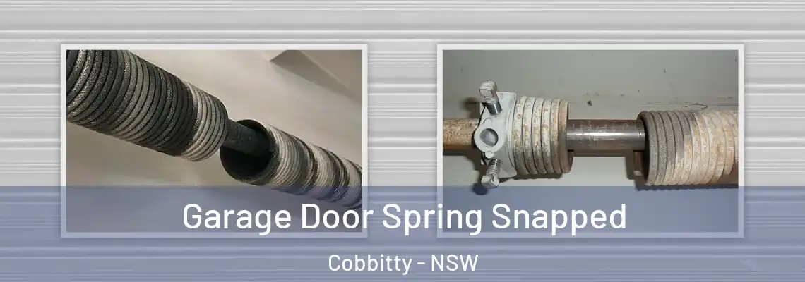  Garage Door Spring Snapped Cobbitty - NSW