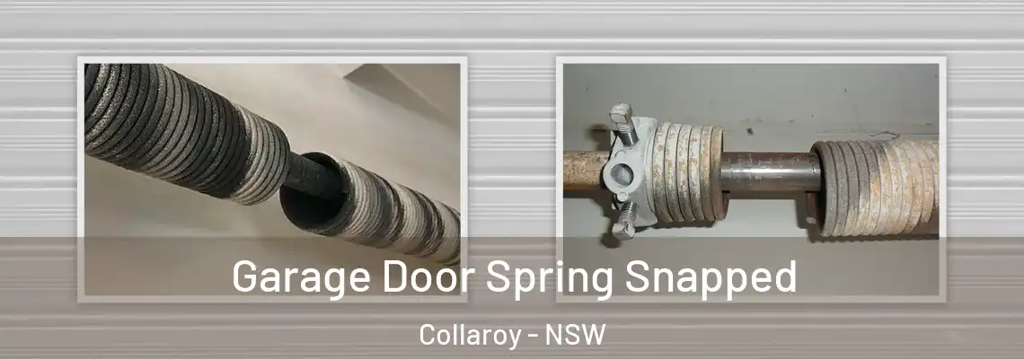  Garage Door Spring Snapped Collaroy - NSW