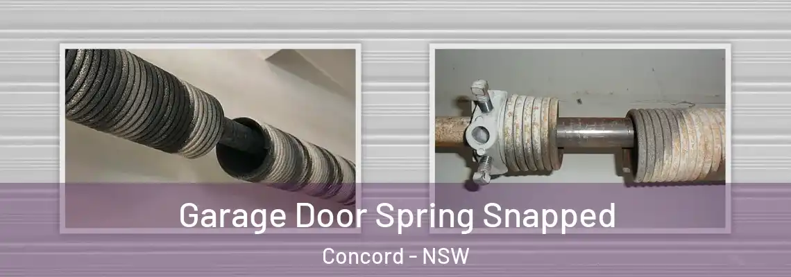  Garage Door Spring Snapped Concord - NSW